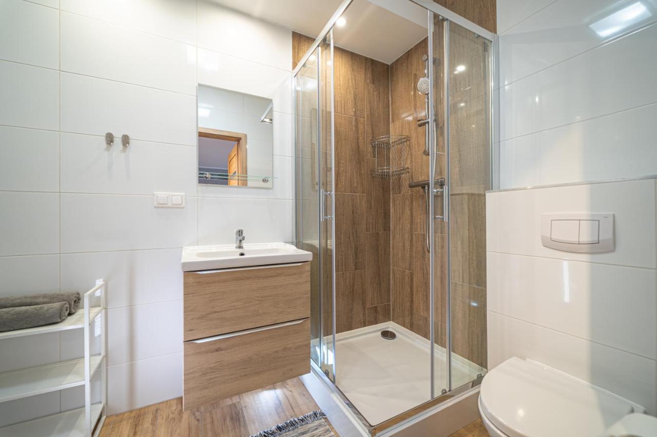 Apartament Rodzinny Plusplus Mountain Aparts Swieradow-Zdroj Exterior foto